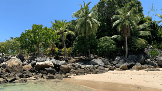 Unser Engagement - MIADANA